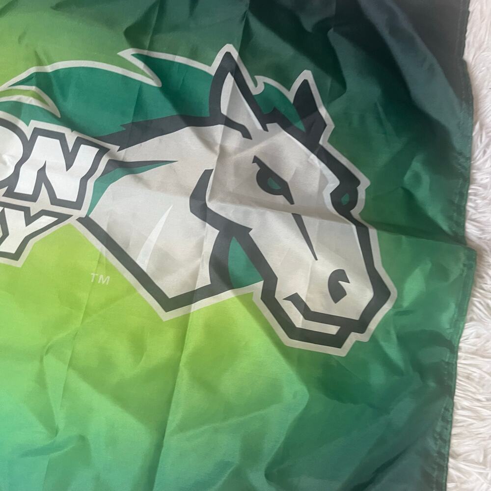 Stevenson University Flag 3x5 Ft Decor Outdoor Banner Sign - Picture 2 of 4